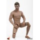 TrueType Male Body Actionfigur 1/6 Caucasian Muscular Version 30 cm